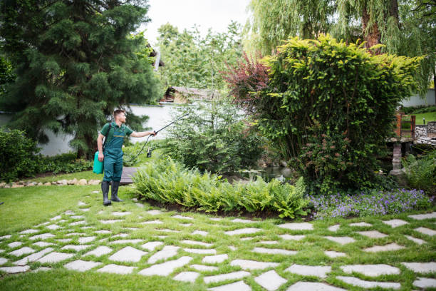 Best Pest Control Near Me in Walnut, CA